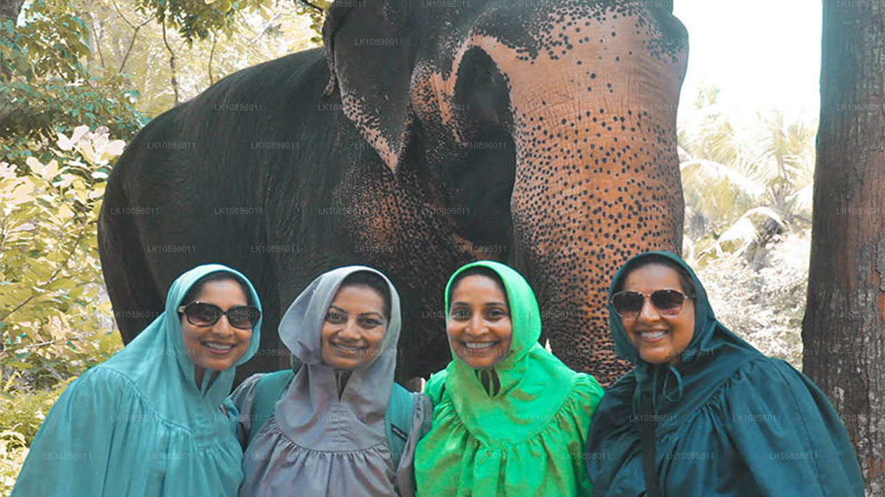 Wybrzeże i wzgórza (8 dni)