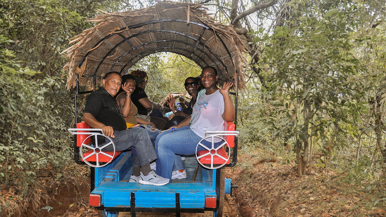 Wybrzeże i wzgórza (8 dni)