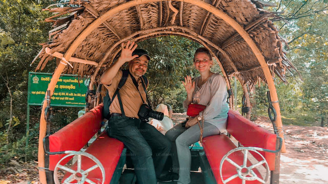 Wybrzeże i wzgórza (8 dni)