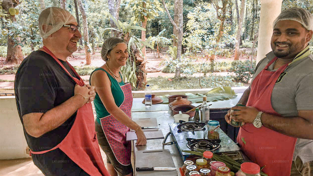 Wybrzeże i wzgórza (8 dni)