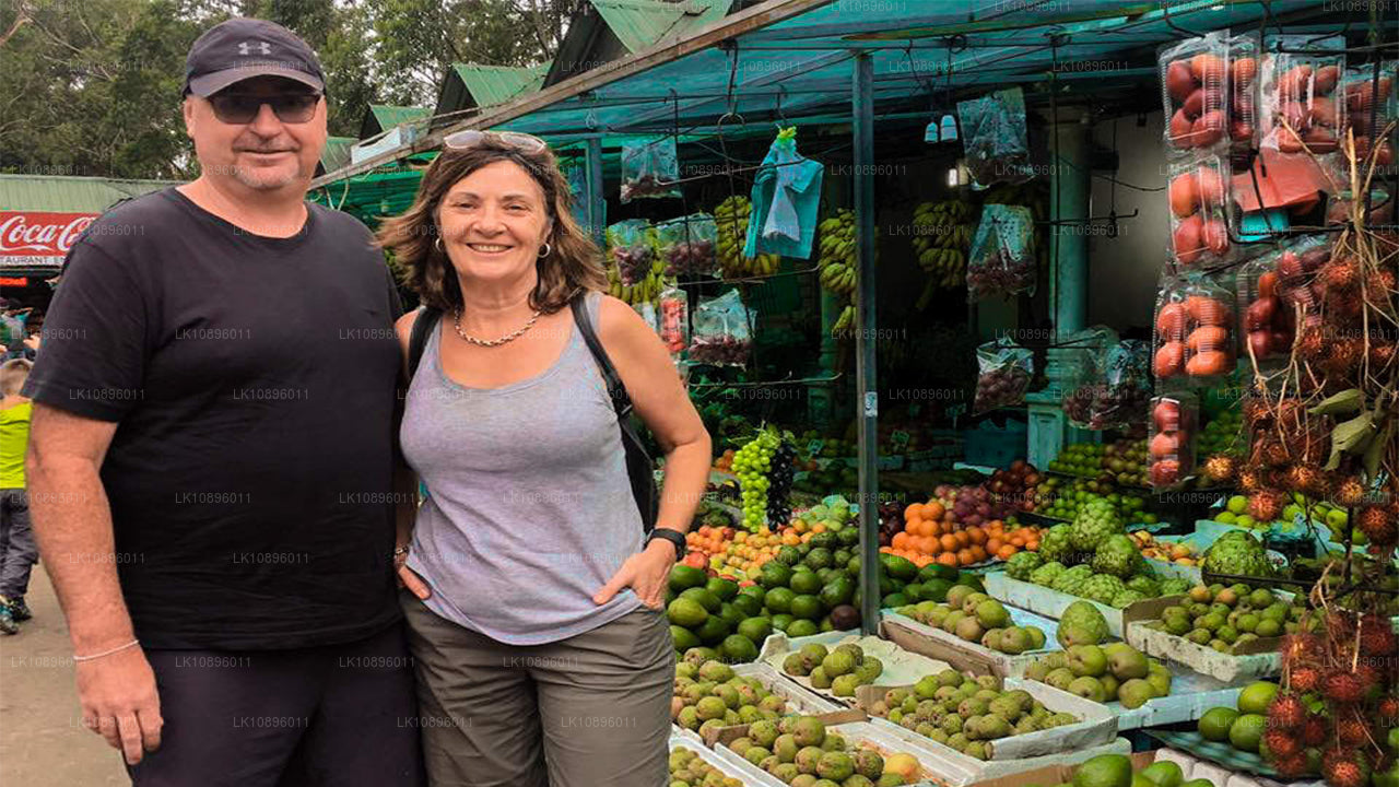 Wybrzeże i wzgórza (8 dni)