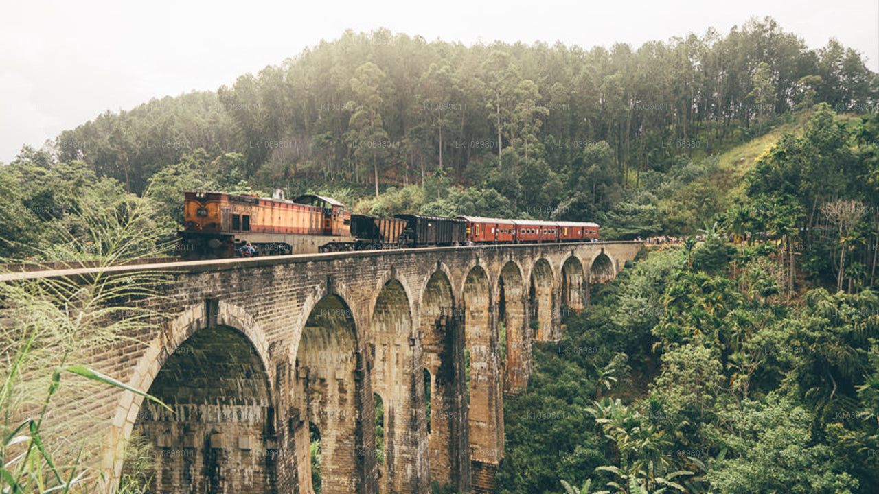 Odkryj Serendib koleją (8 dni)