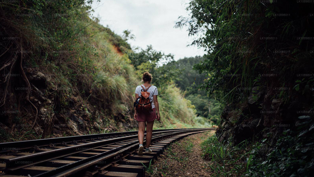 Odkryj Serendib koleją (8 dni)