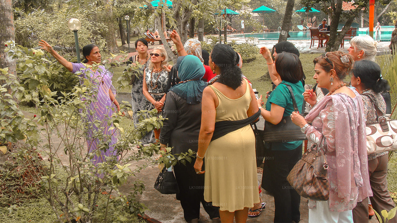 Relaks i relaks z Siddalepą (8 dni)