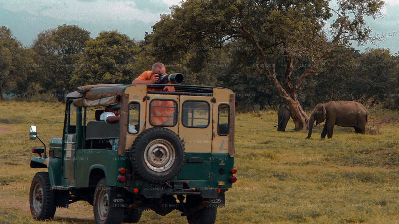 Kultura i dziedzictwo (9 dni)