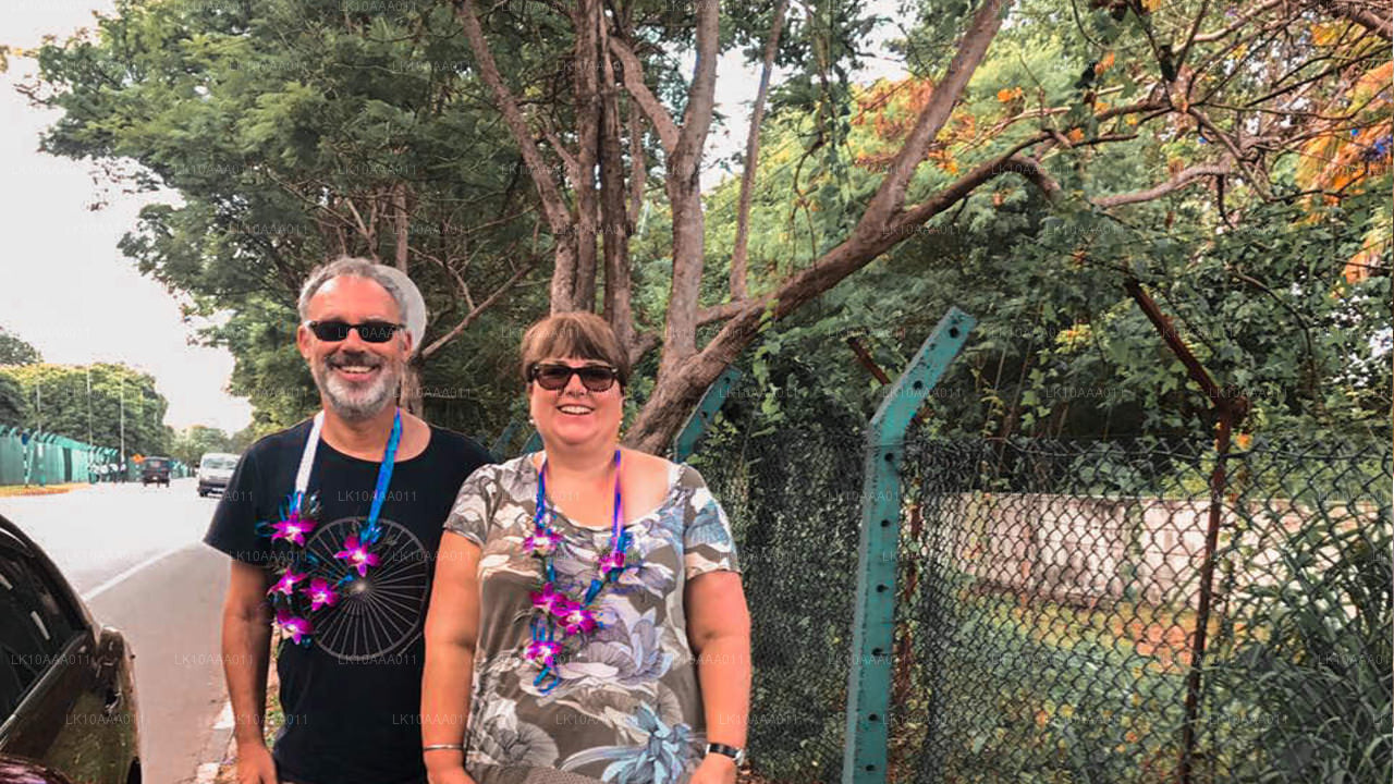 Najważniejsze wydarzenia Sri Lanki (10 dni)