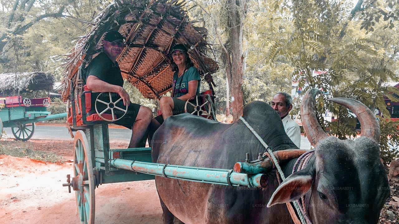 Południowe plaże Serendib (10 dni)