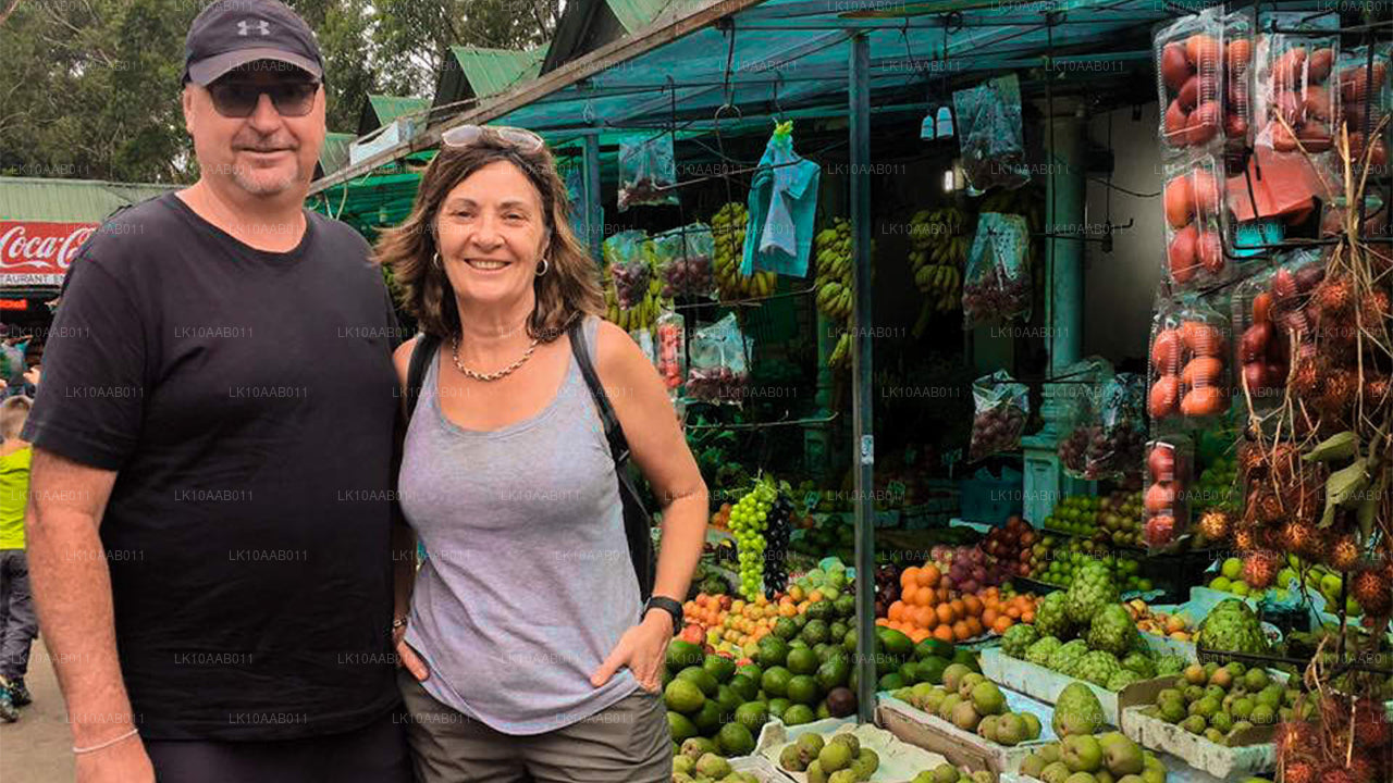 Południowe plaże Serendib (10 dni)