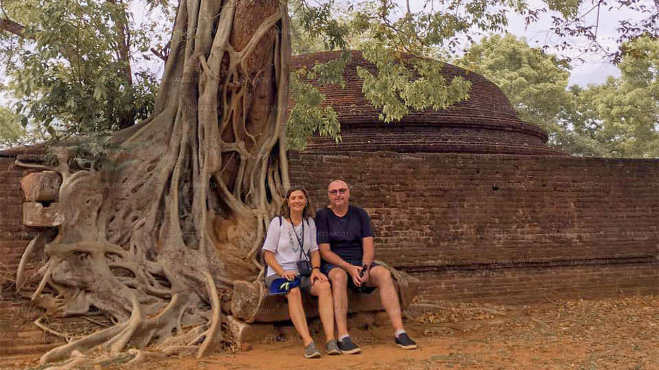 Królestwa Cejlonu (10 dni)