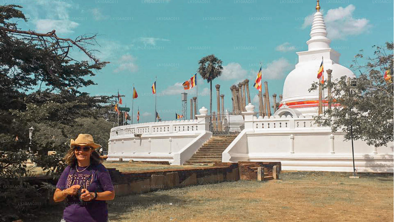 Królestwa Cejlonu (10 dni)