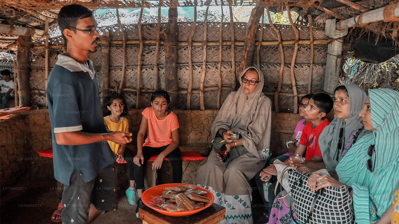 Królestwa Cejlonu (10 dni)