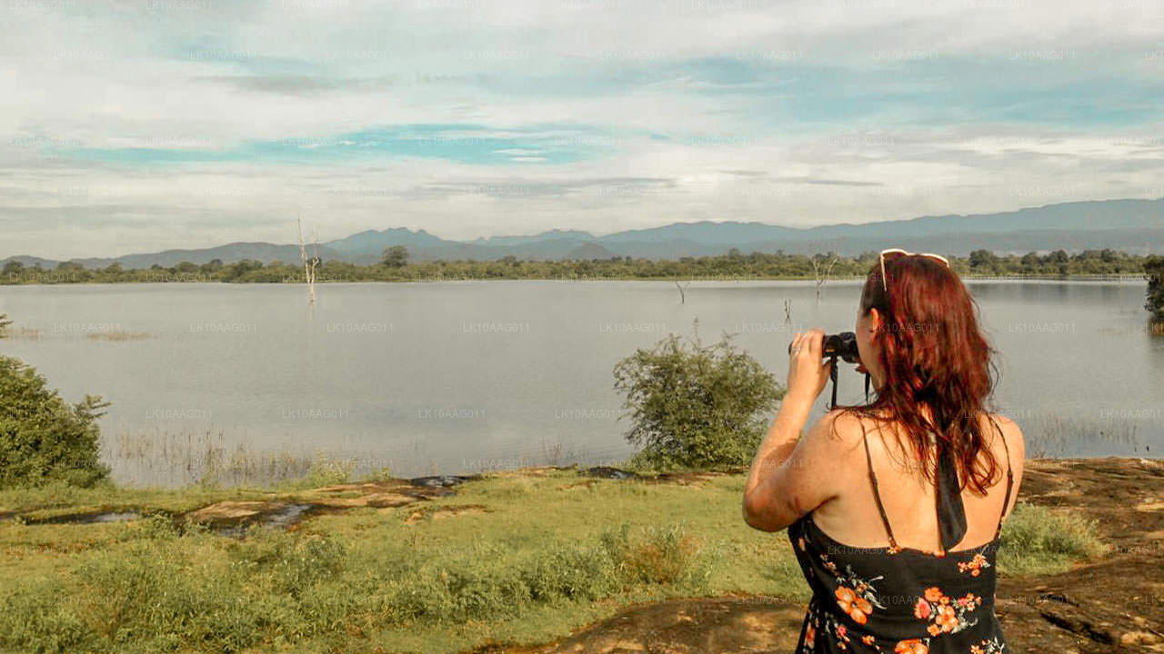 Dzika przyroda Sri Lanki (10 dni)