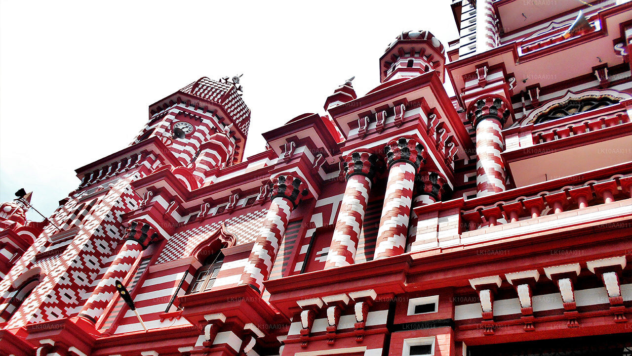 Sri Lanka Halal (islamska) Wycieczka (10 dni)