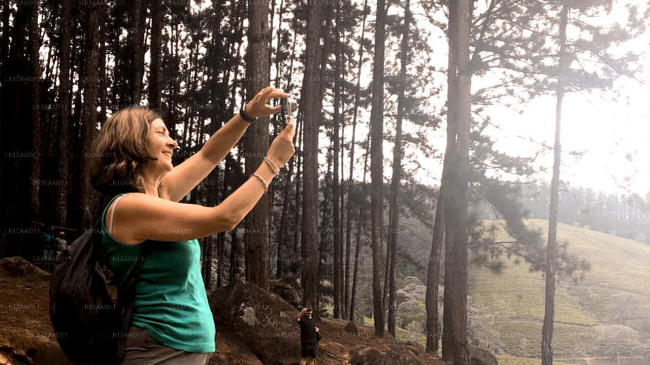 Sri Lanka Halal (islamska) Wycieczka (10 dni)