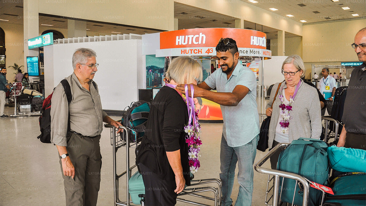 Wycieczka po herbacie po Cejlonie (10 dni)