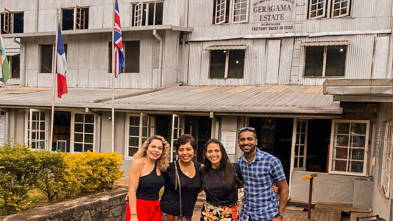 Wycieczka po herbacie po Cejlonie (10 dni)