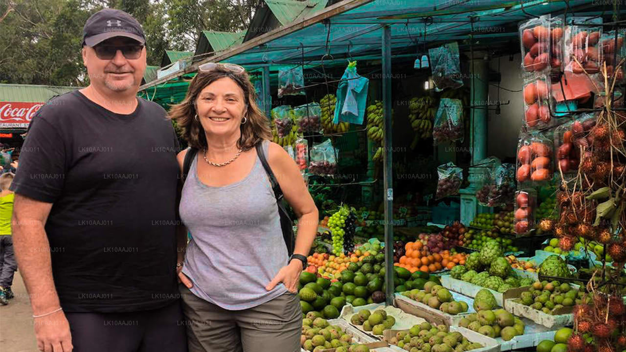 Wycieczka po herbacie po Cejlonie (10 dni)
