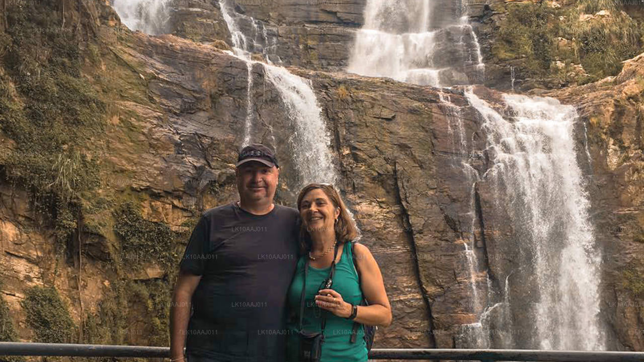 Wycieczka po herbacie po Cejlonie (10 dni)