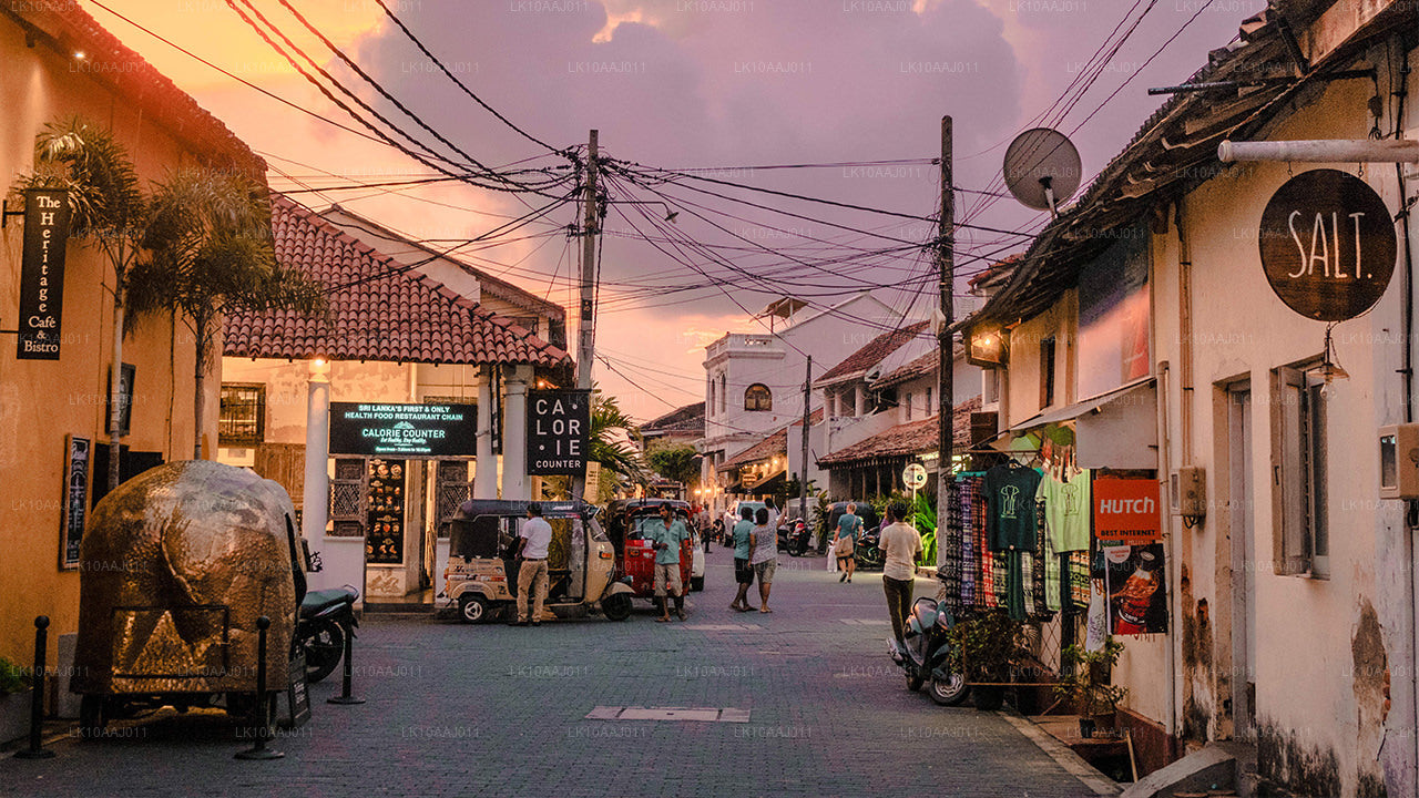 Wycieczka po herbacie po Cejlonie (10 dni)