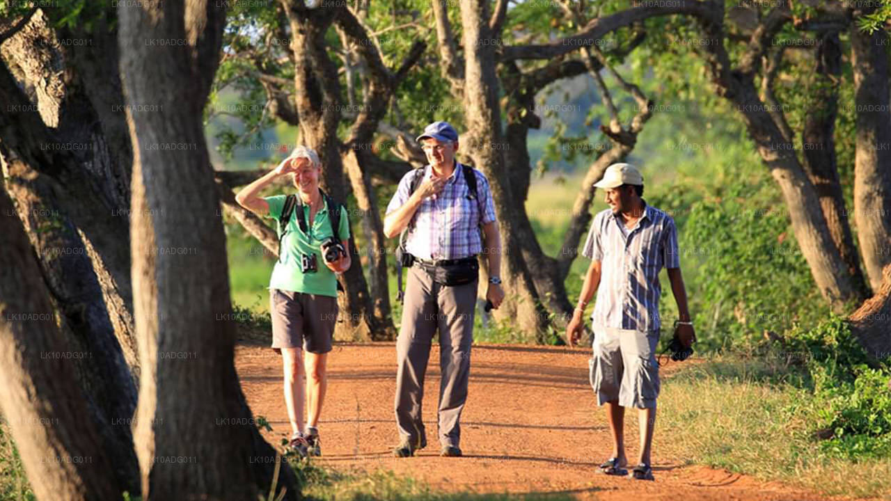 Obserwacja ptaków i zwiedzanie dzikiej przyrody (10 dni)