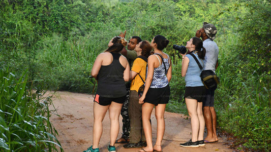 Obserwacja ptaków i zwiedzanie dzikiej przyrody (10 dni)