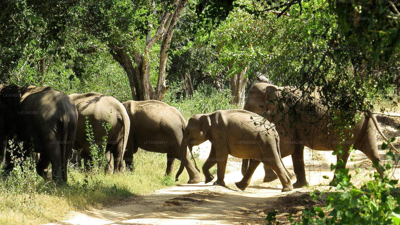 Obserwacja ptaków i zwiedzanie dzikiej przyrody (10 dni)