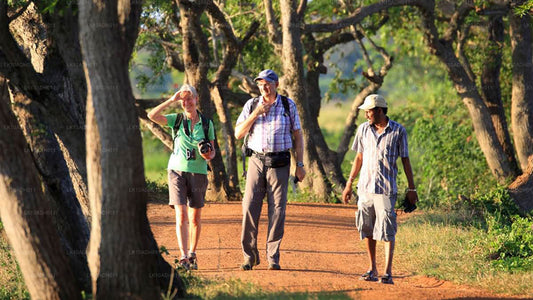 Wycieczka po ptakach i dzikiej przyrodzie (11 dni)