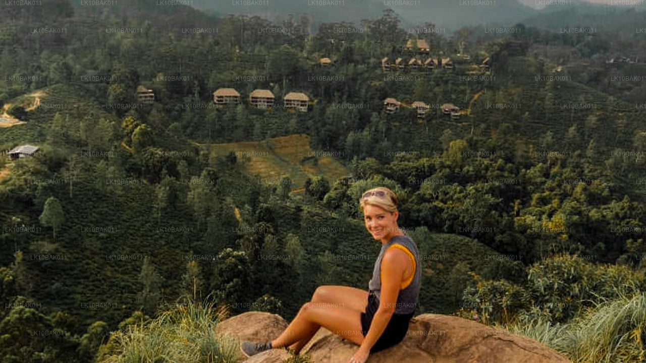 Przygoda i wypoczynek (11 dni)