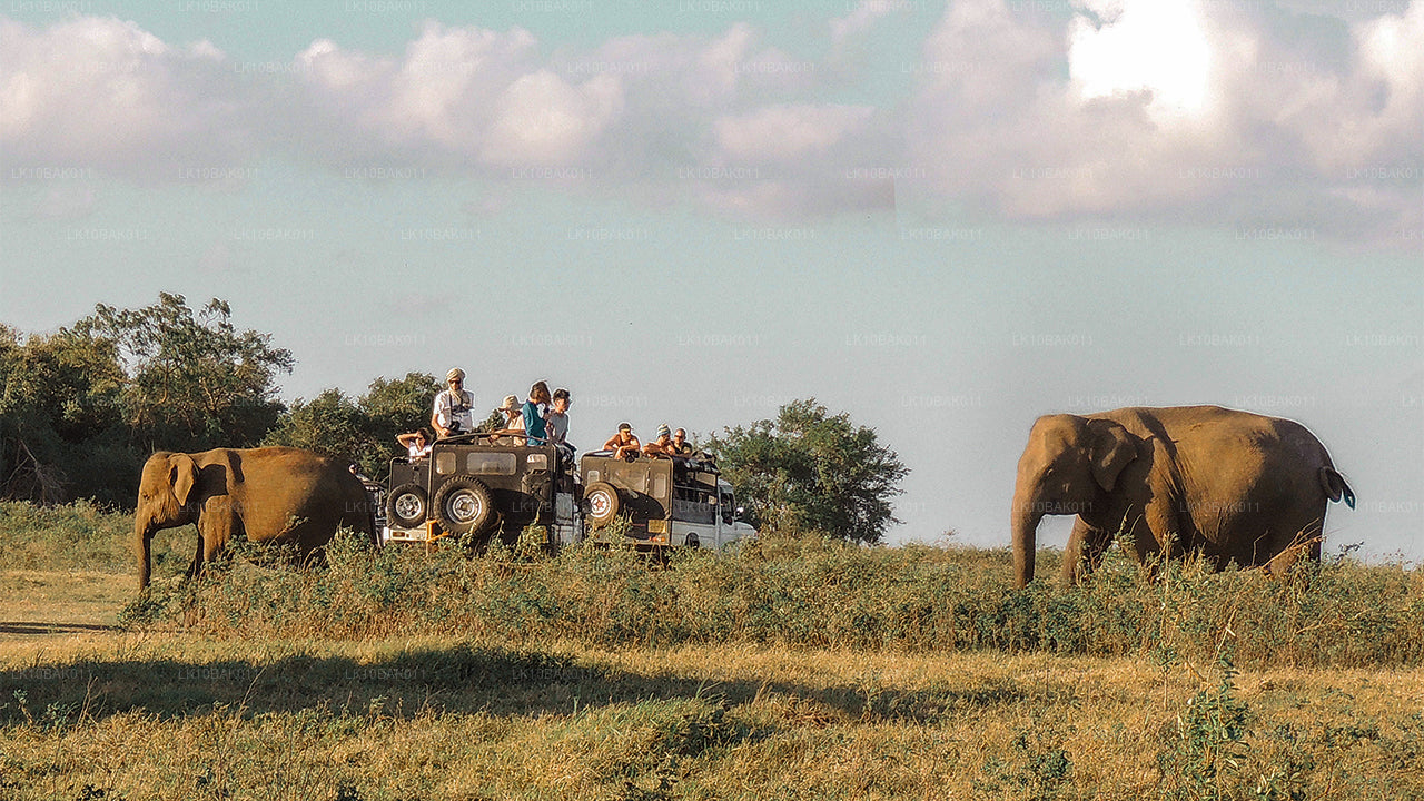 Przygoda i wypoczynek (11 dni)
