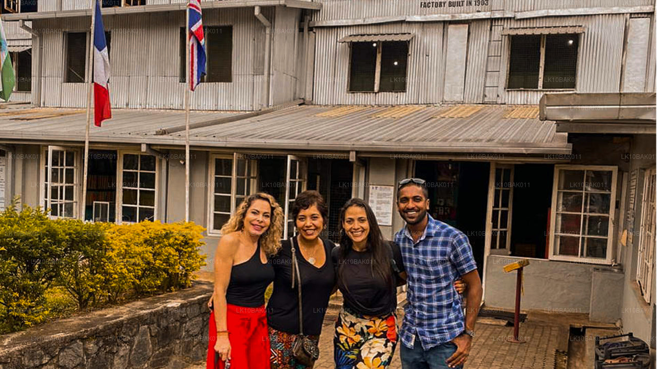 Przygoda i wypoczynek (11 dni)