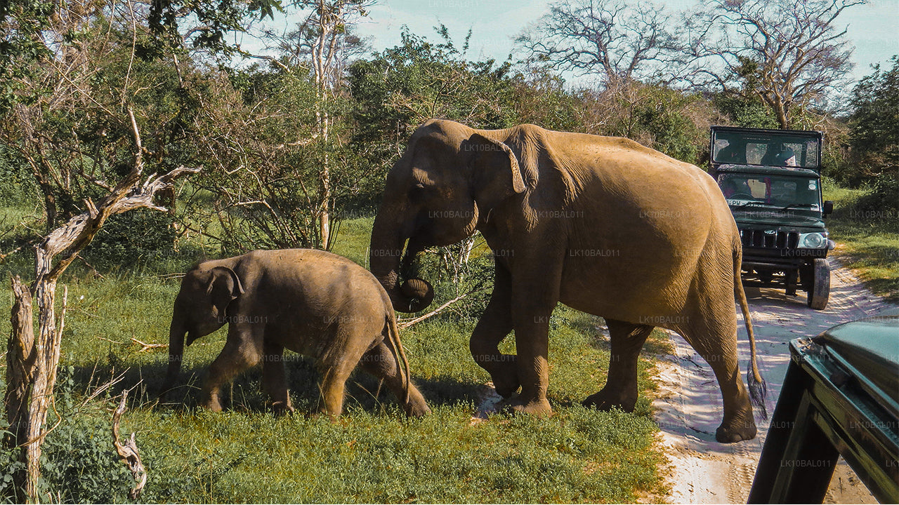 Wybrzeże i wędrówki (11 dni)