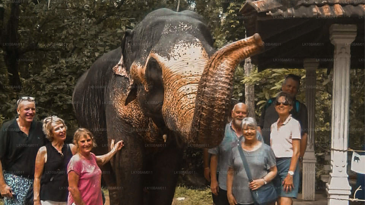 Scenic Serendib (11 dni)