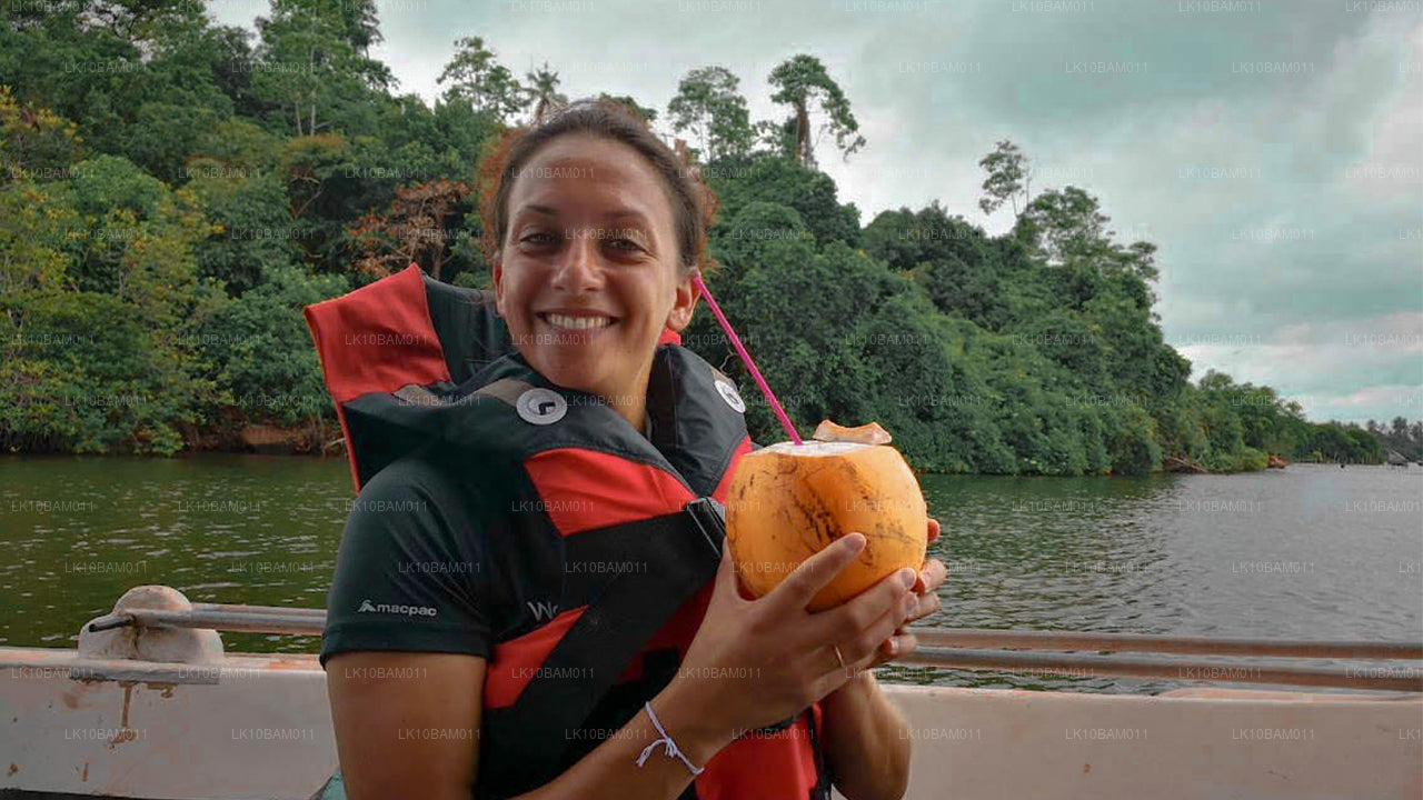 Scenic Serendib (11 dni)