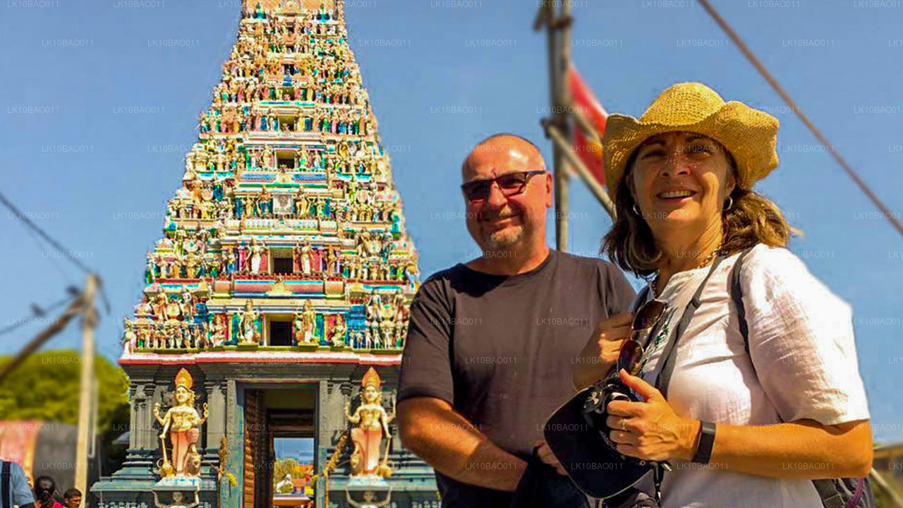 Doświadczenie północnego wschodu (11 dni)