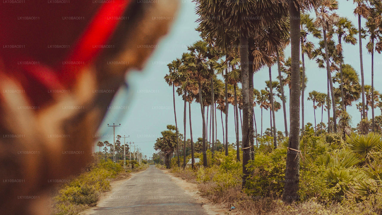 Doświadczenie północnego wschodu (11 dni)