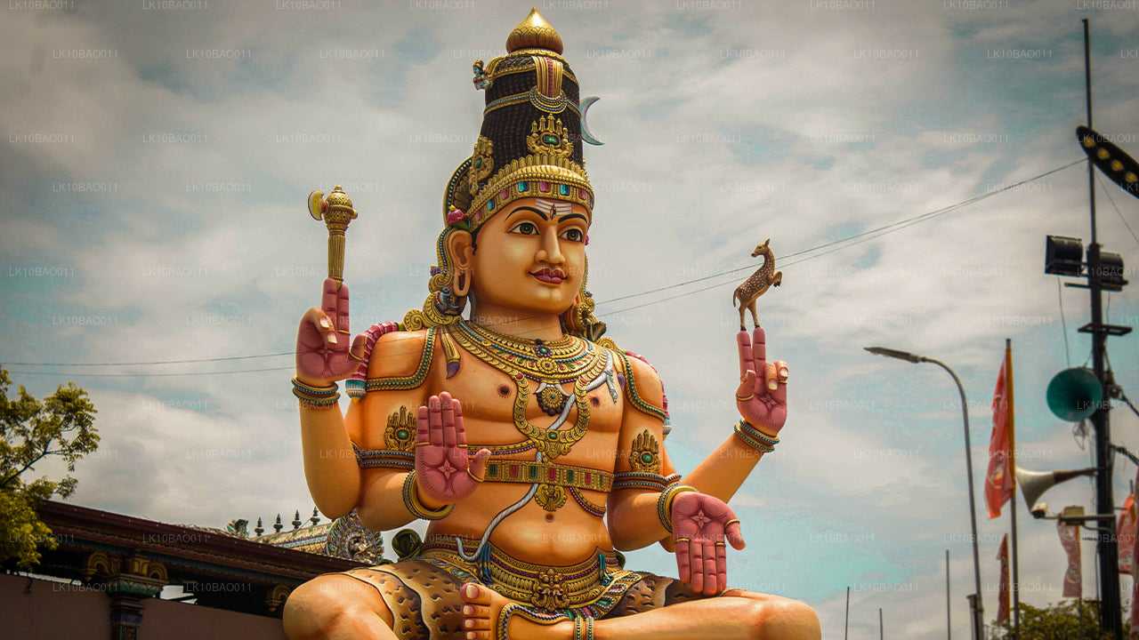 Doświadczenie północnego wschodu (11 dni)