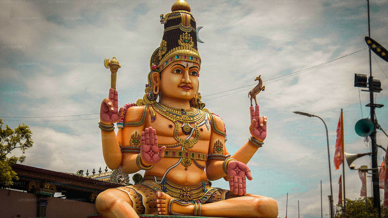 Odkrywanie Sanktuarium (11 dni)