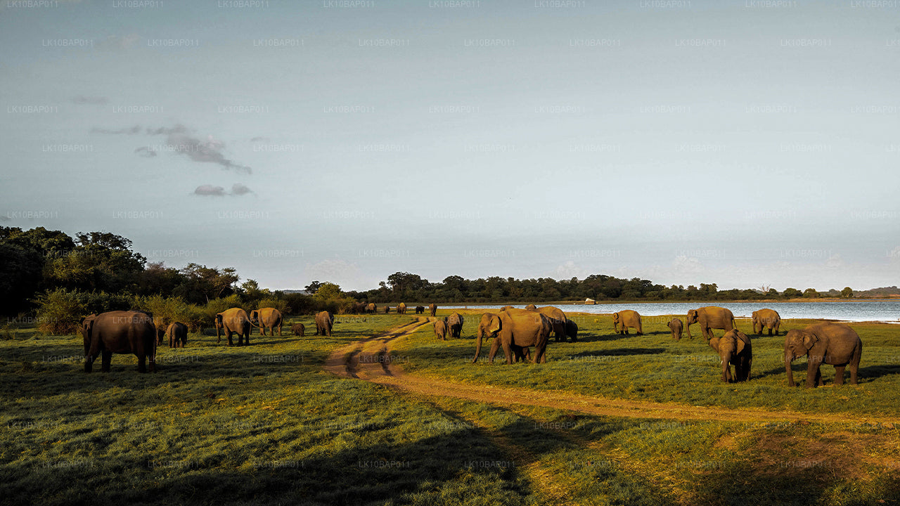 Odkrywanie Sanktuarium (11 dni)