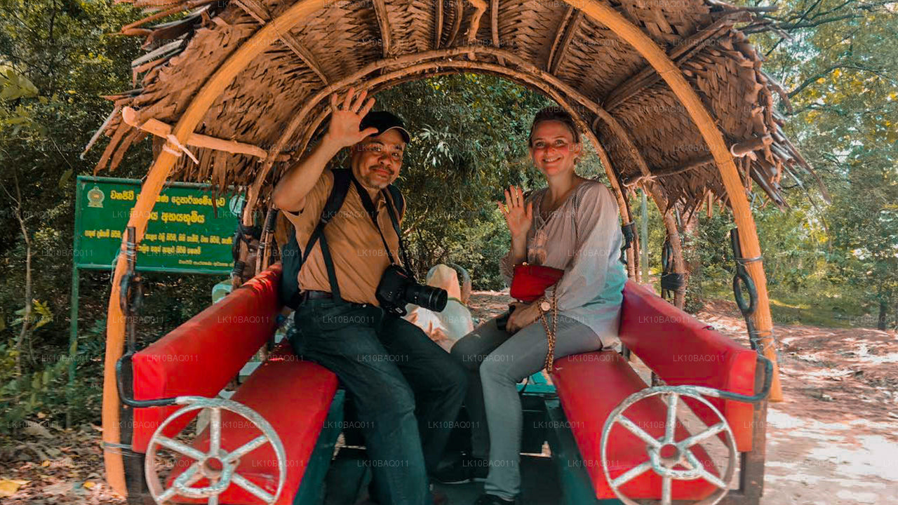 Zagubieni na Cejlonie (11 dni)