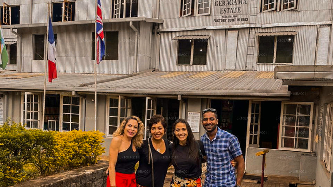 Zagubieni na Cejlonie (11 dni)