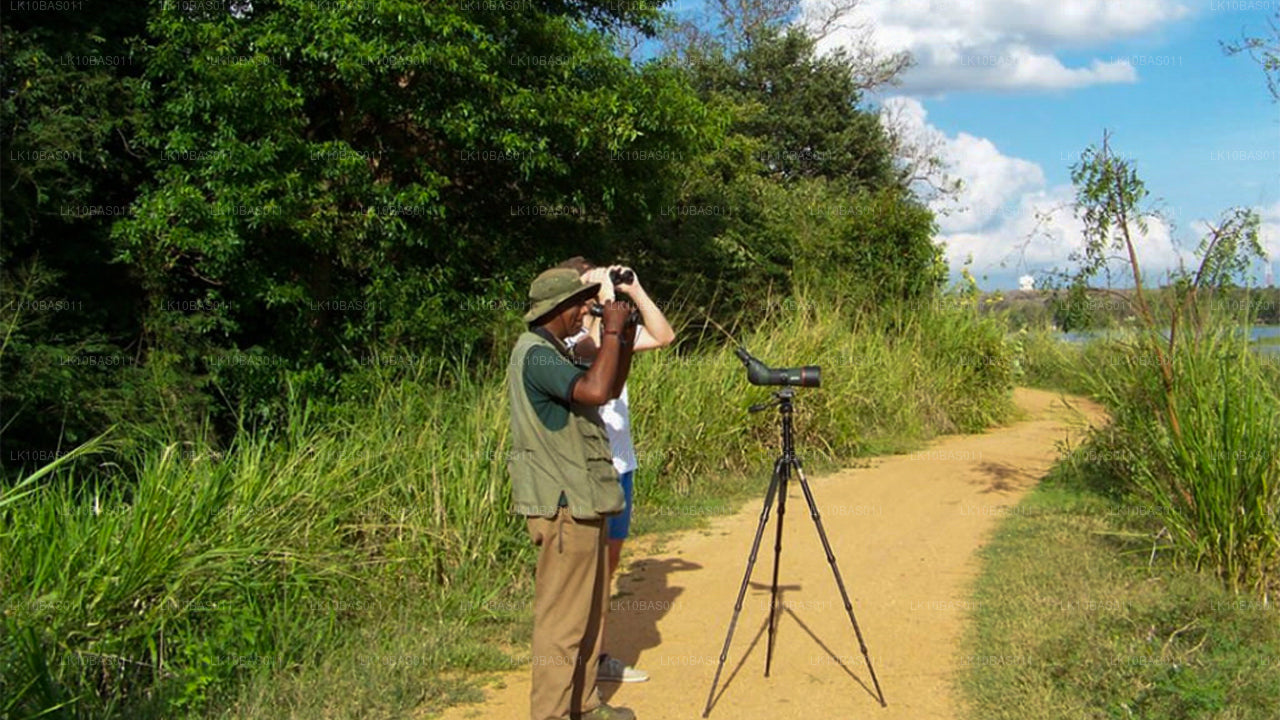 Szlak Motyli (11 dni)