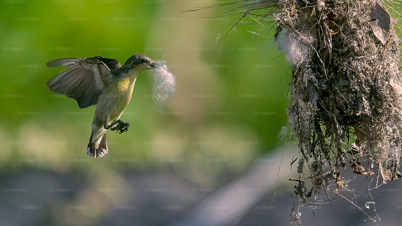 Szlak Motyli (11 dni)