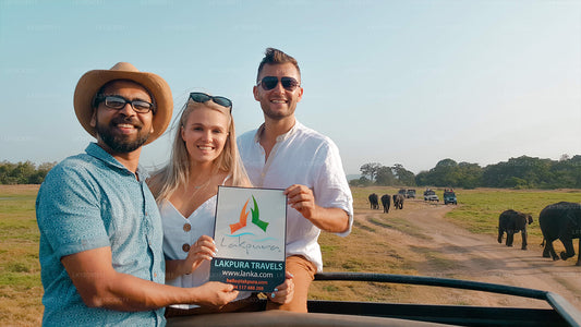 Odkrywaj, relaksuj się i odmładzaj (12 dni)