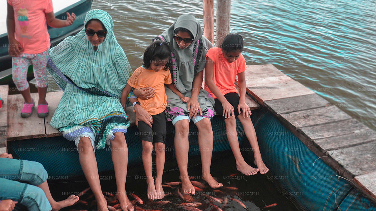 Odkrywaj, relaksuj się i odmładzaj (12 dni)