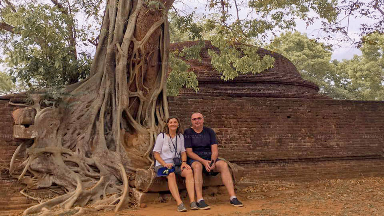 Kultura i wybrzeże (12 dni)