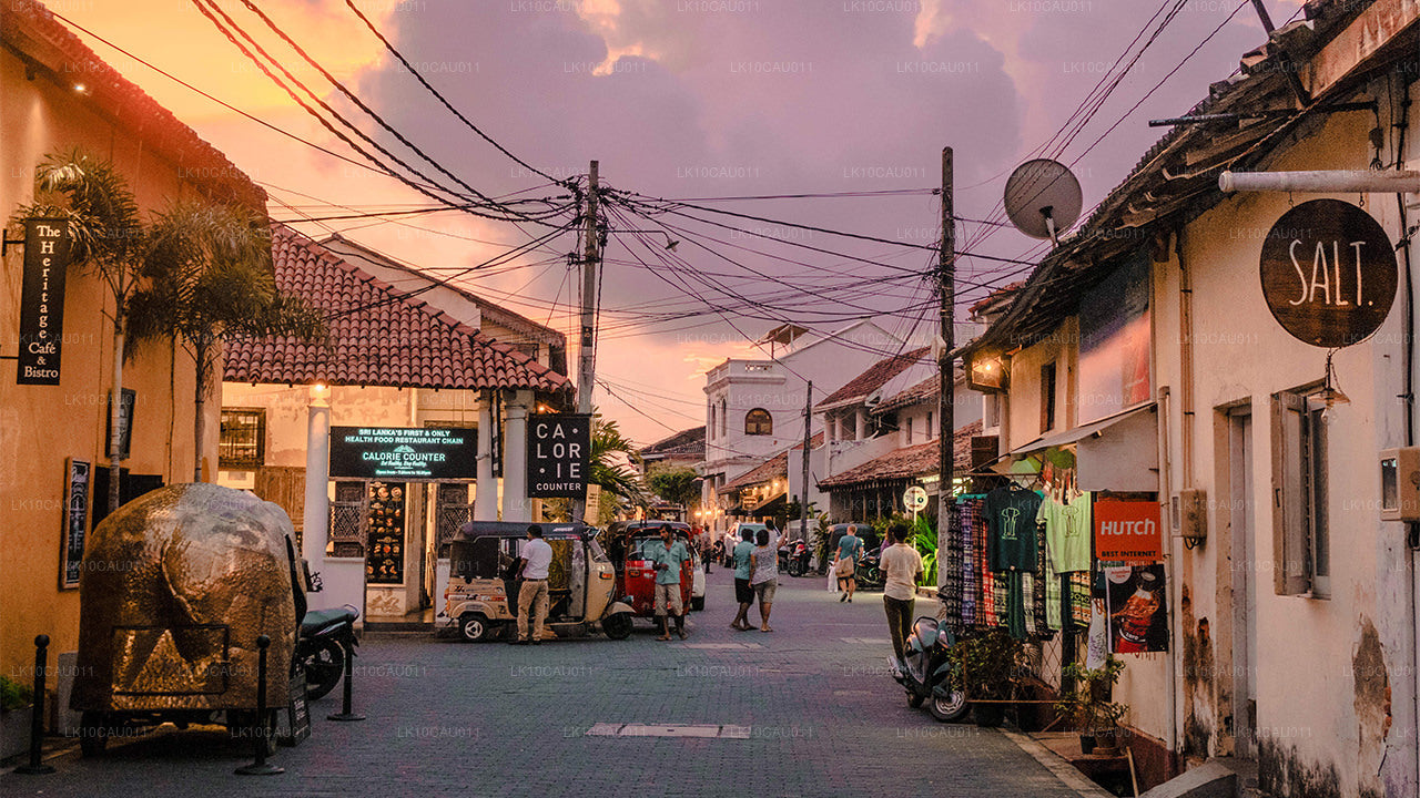 Kultura i wybrzeże (12 dni)