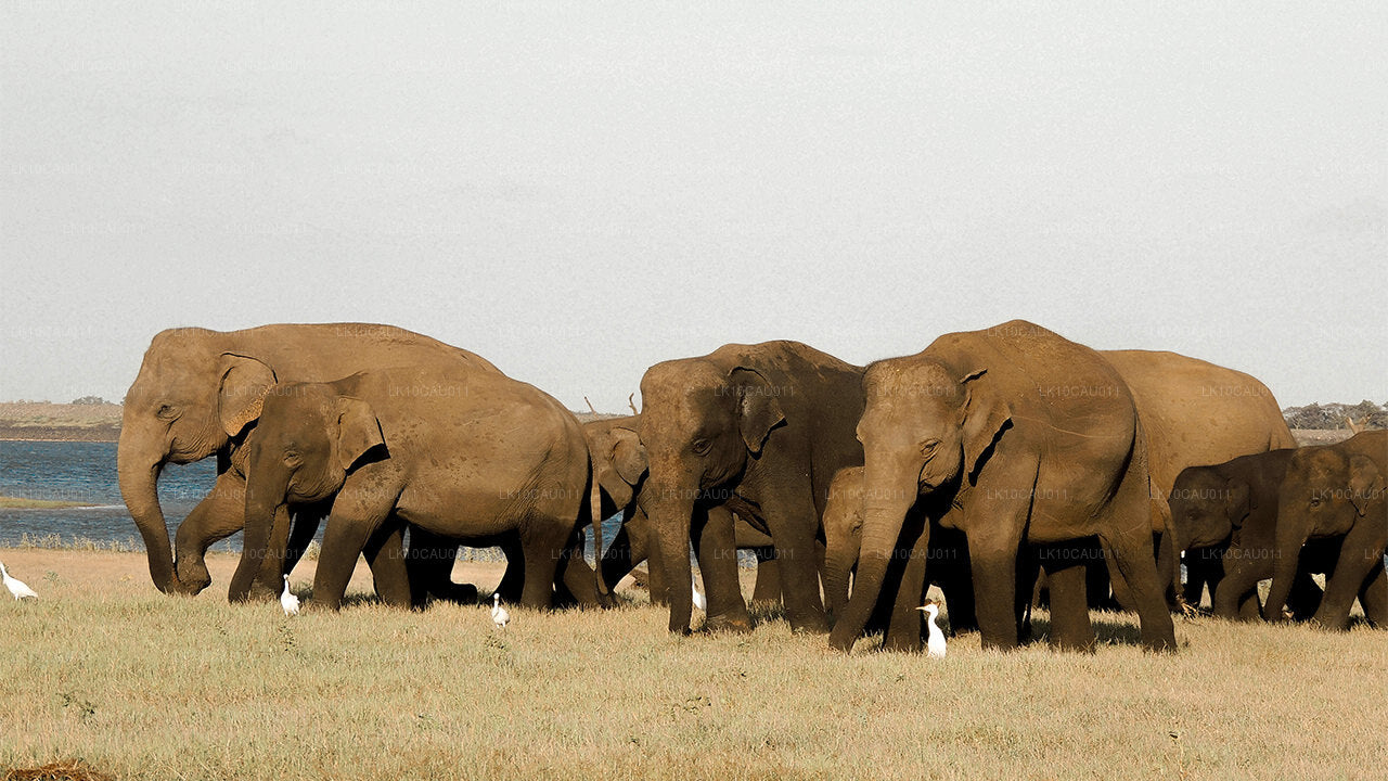 Kultura i wybrzeże (12 dni)