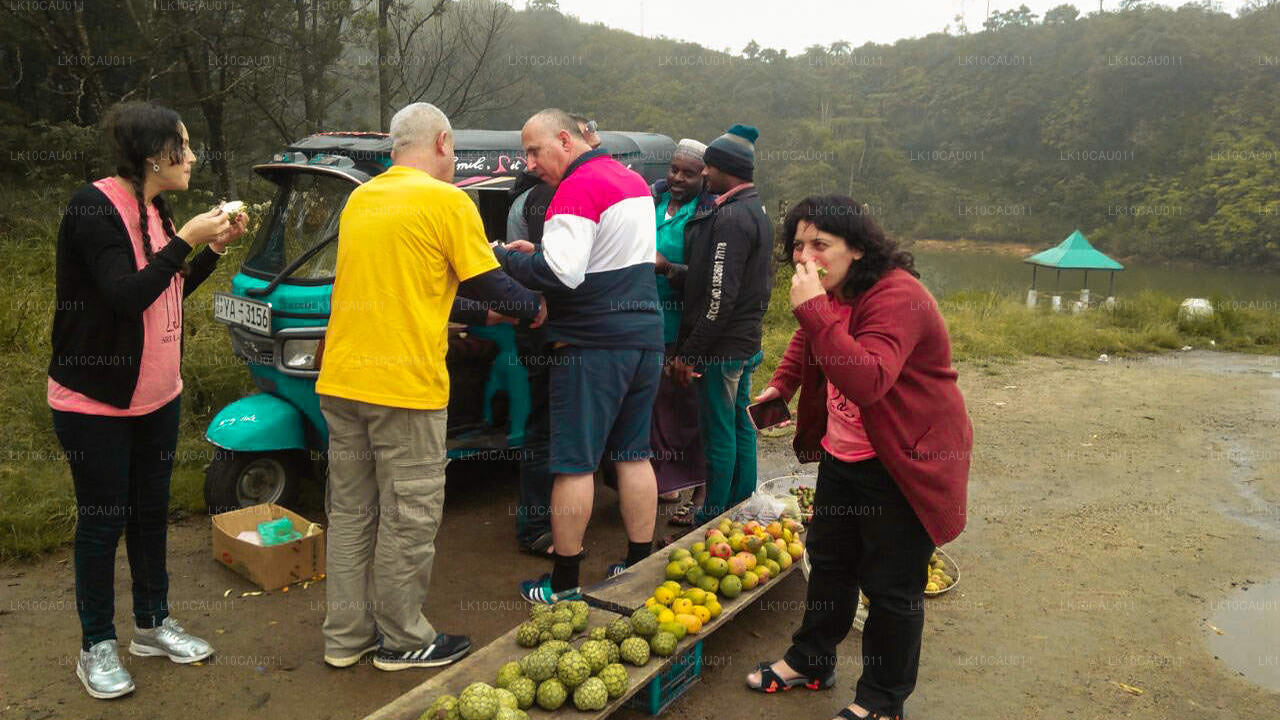 Kultura i wybrzeże (12 dni)