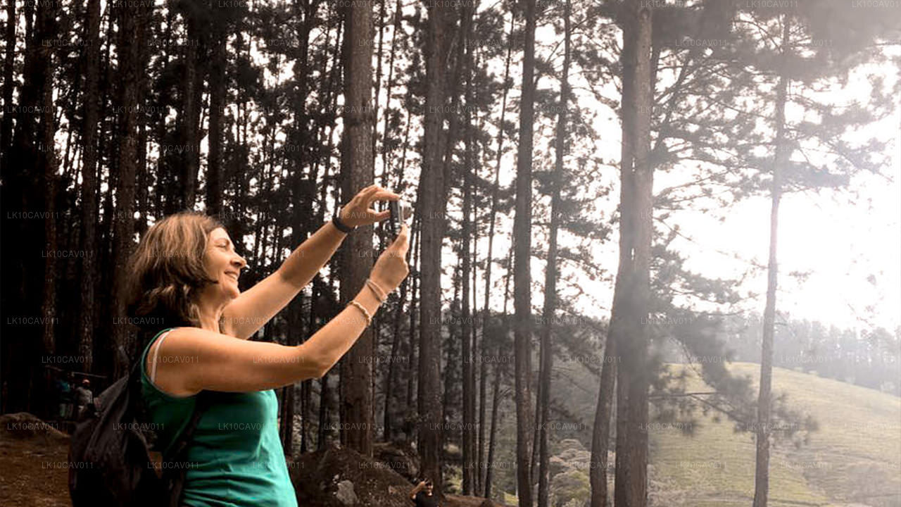 Relaks i przygoda (12 dni)