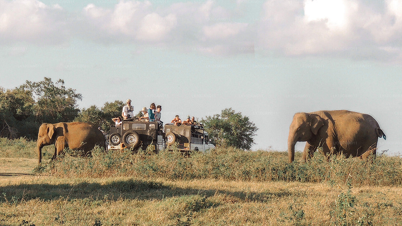 Przygód Wschód (12 Dni)